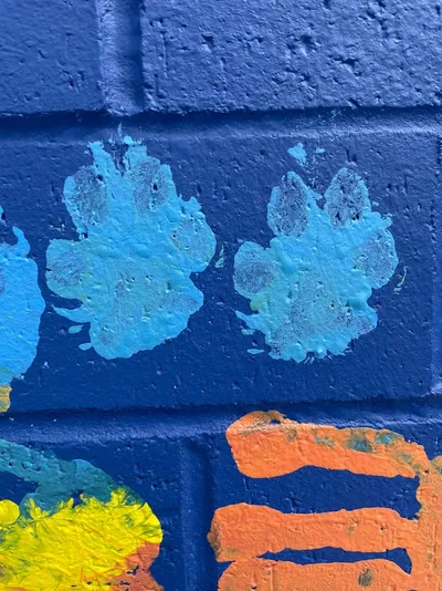 Mesa View Elementary — paw-print detail in the mural