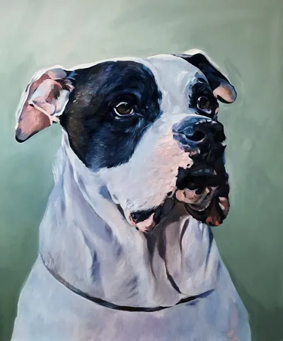 Oil portrait of a black-and-white boxer against a sage green background
